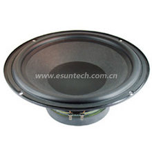 Loudspeaker YD250-17-4F126R 10 Inch High Quality Bass Speaker for Sale - ESUTECH